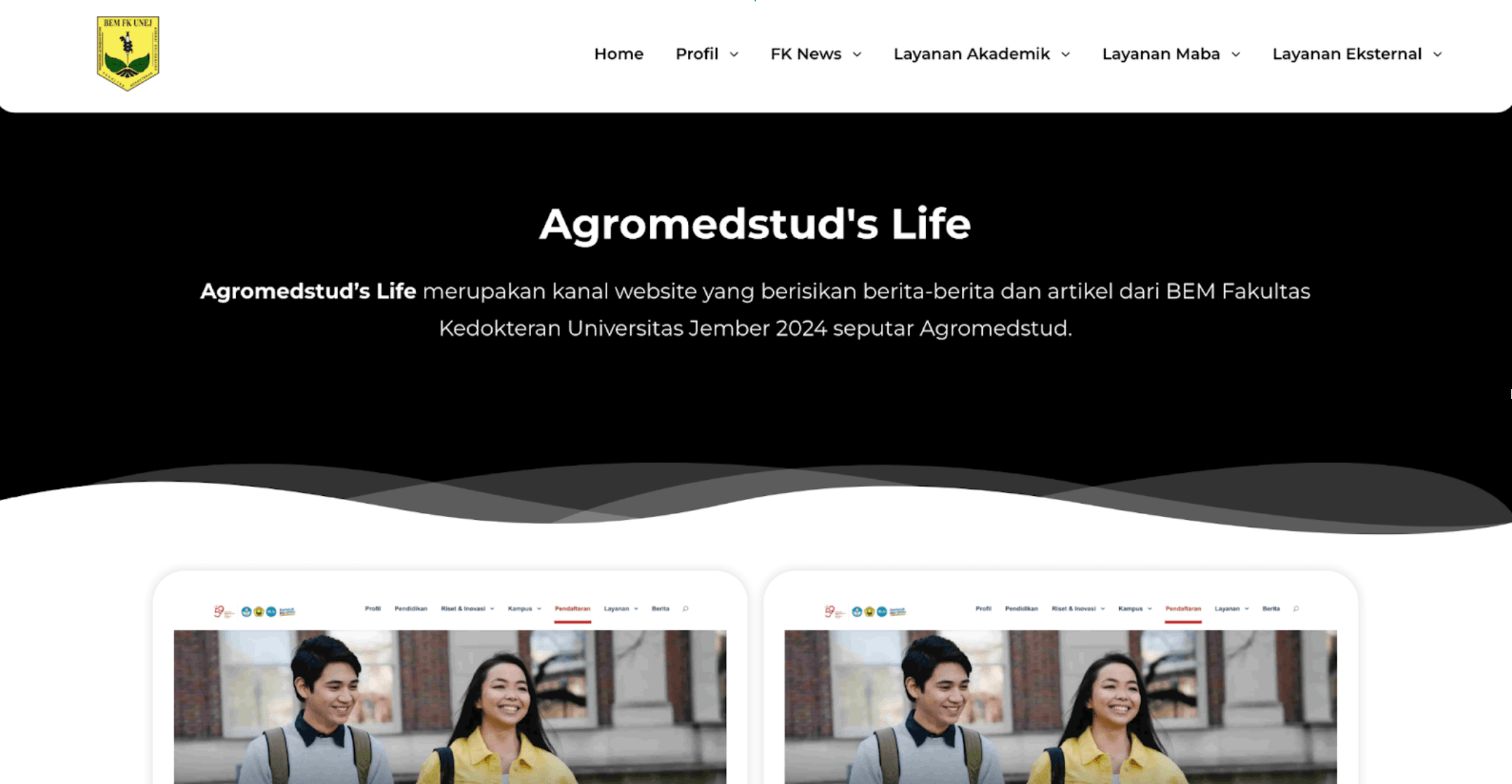 Project screenshot 4