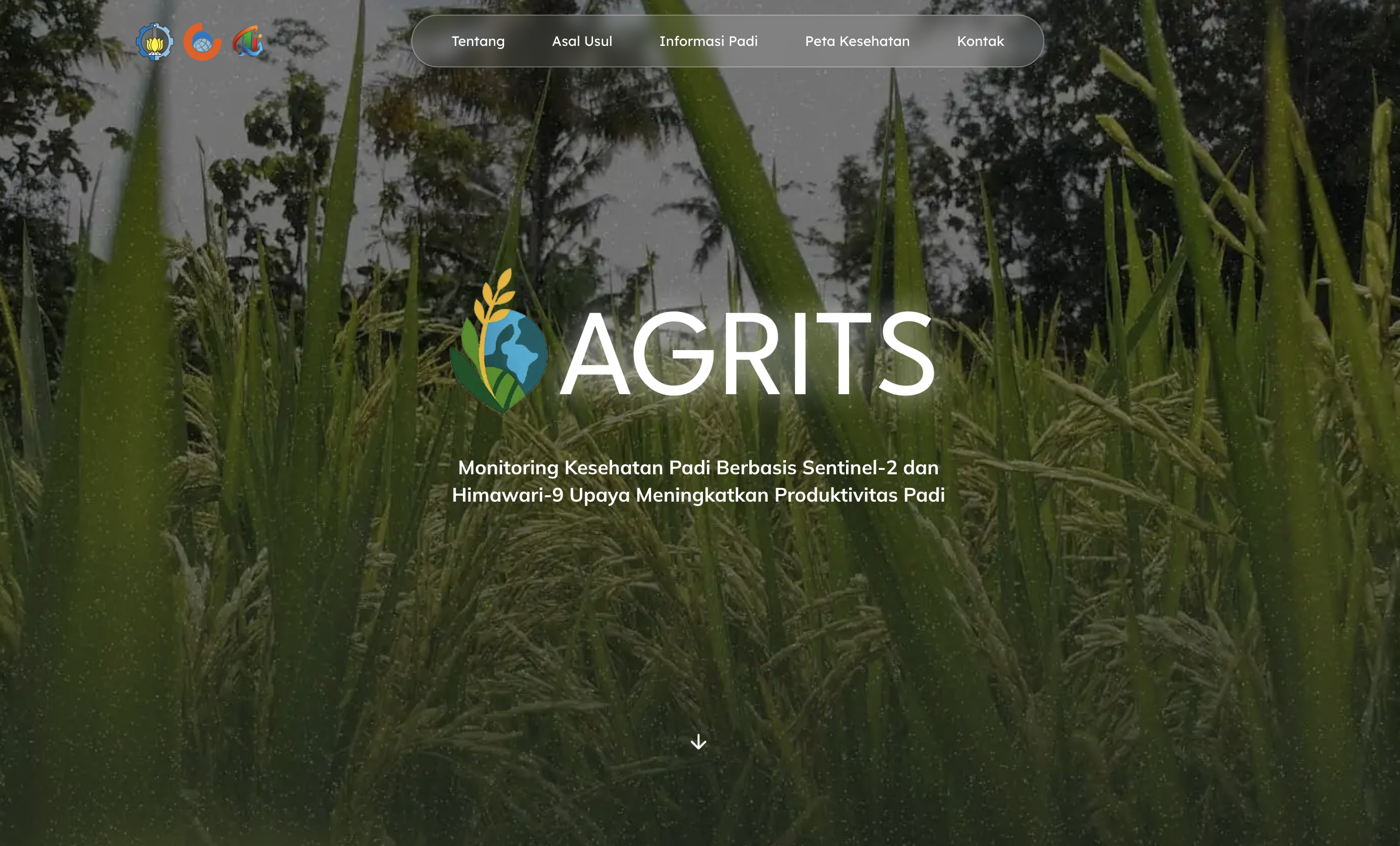 Fullstack Developer screenshot 1