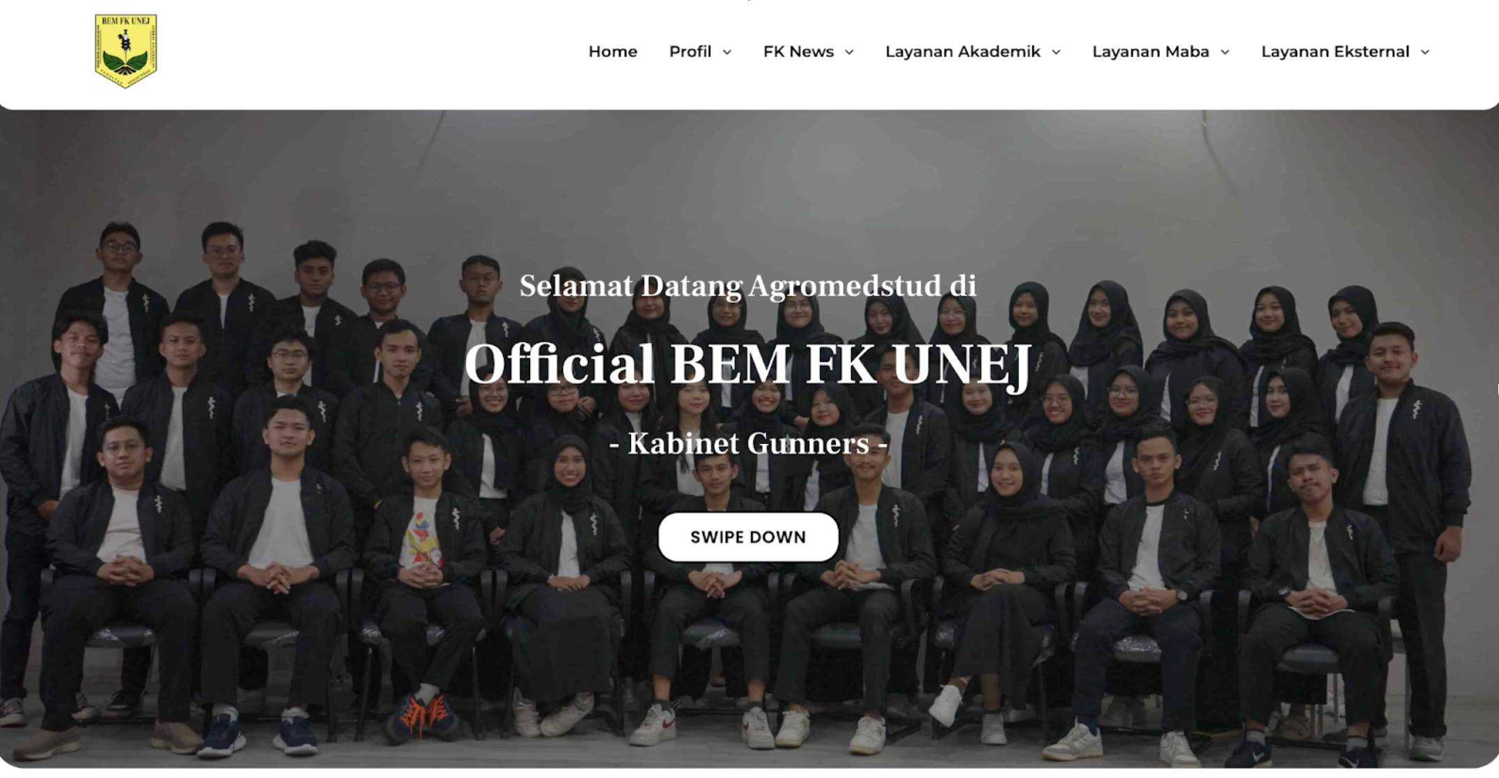 Website Developer screenshot 1